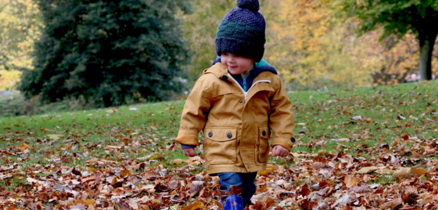 A toddler in jeans and a tan jacket confidently walks on autumn leaves in the grass, fostering toddler self-esteem amidst the vibrant fall foliage.